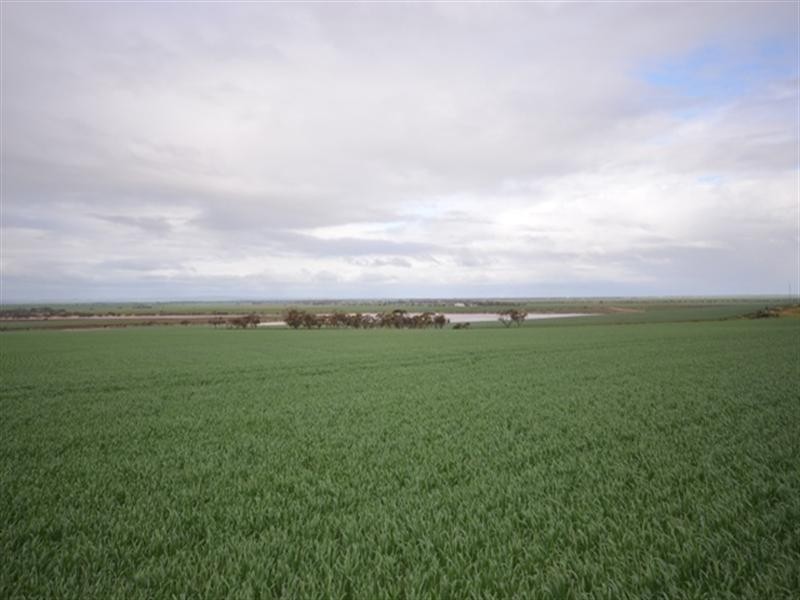 “Wilsons” Various Lots, Whitwarta SA 5461