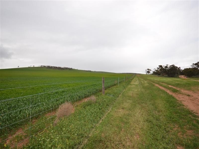 “Wilsons” Various Lots, Whitwarta SA 5461