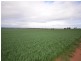 “Wilsons” Various Lots, Whitwarta SA 5461