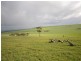 “Wilsons” Various Lots, Whitwarta SA 5461