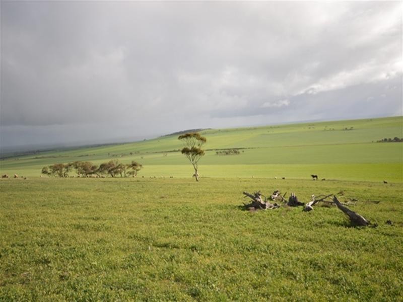 “Wilsons” Various Lots, Whitwarta SA 5461