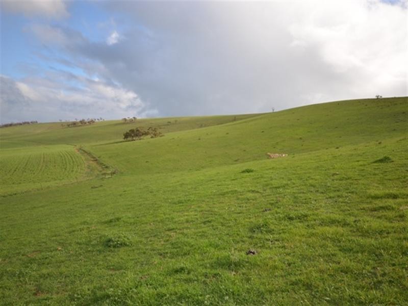 “Wilsons” Various Lots, Whitwarta SA 5461