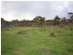 “Wilsons” Various Lots, Whitwarta SA 5461
