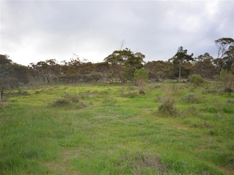 “Wilsons” Various Lots, Whitwarta SA 5461