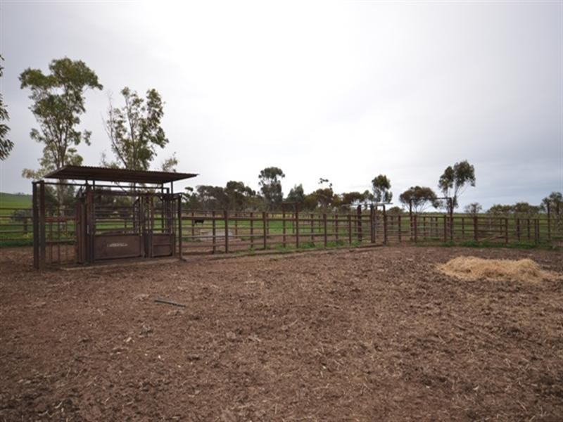 “Wilsons” Various Lots, Whitwarta SA 5461