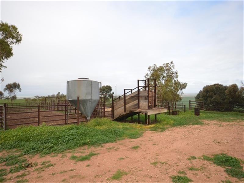 “Wilsons” Various Lots, Whitwarta SA 5461