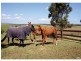 209 Allendale Road, Gawler SA 5118