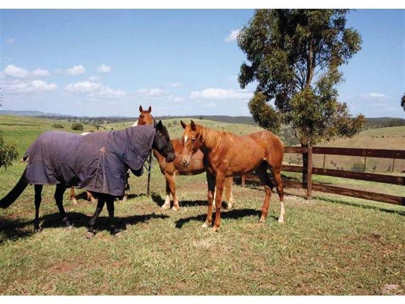 209 Allendale Road, Gawler SA 5118