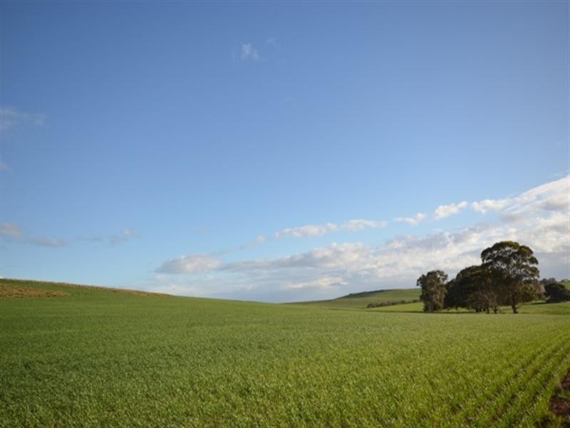 Various Secs Windy Loop Road, Yacka SA 5470