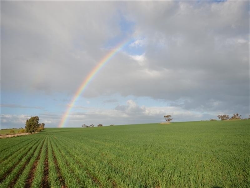 Various Secs Windy Loop Road, Yacka SA 5470