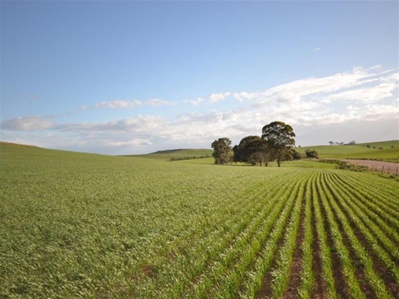 Various Secs Windy Loop Road, Yacka SA 5470