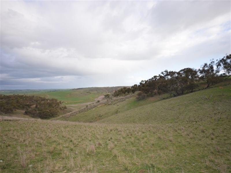 Various Secs Windy Loop Road, Yacka SA 5470