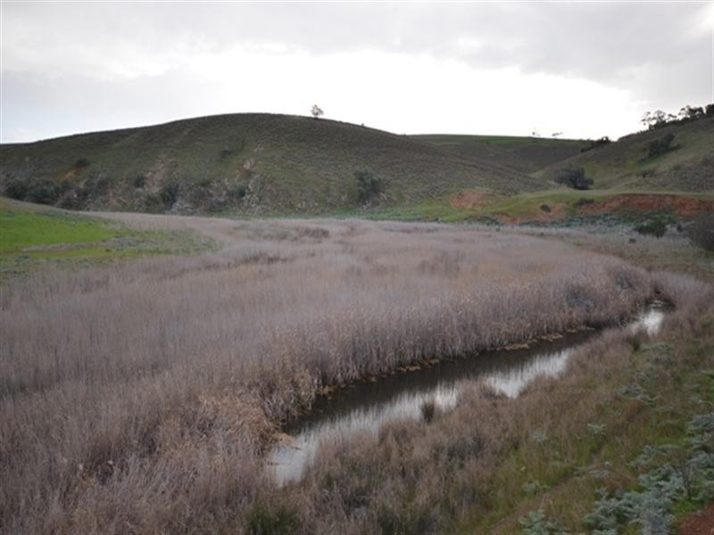 Various Secs Windy Loop Road, Yacka SA 5470