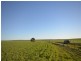 “Manilla Farm” Various Lots, Hanson SA 5417