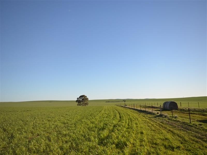 “Manilla Farm” Various Lots, Hanson SA 5417