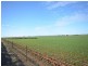 “Manilla Farm” Various Lots, Hanson SA 5417