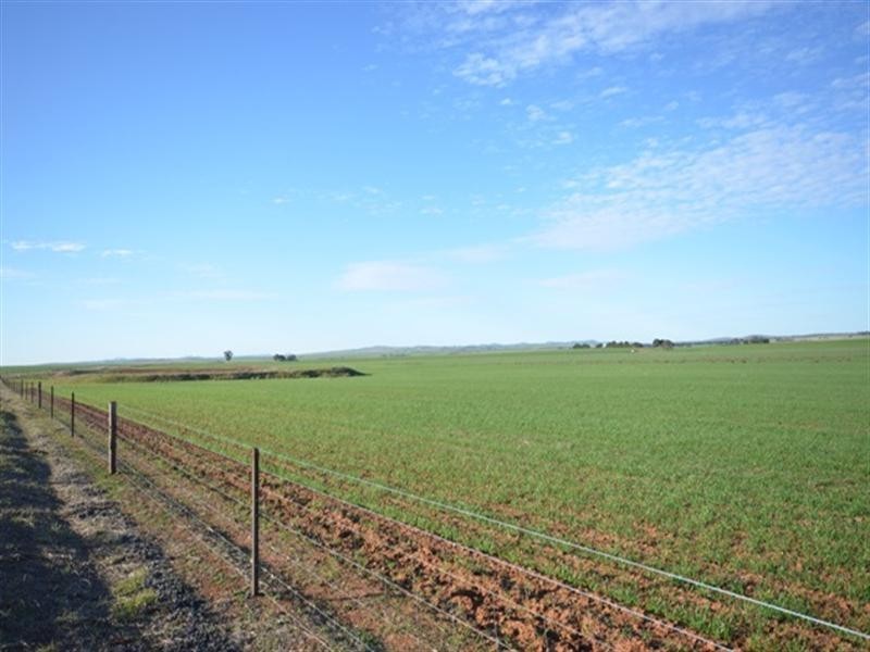 “Manilla Farm” Various Lots, Hanson SA 5417