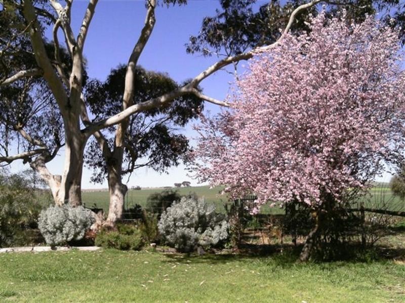 Lot 4 Willalo Road, Hallett SA 5419