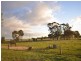Lot 4 Willalo Road, Hallett SA 5419
