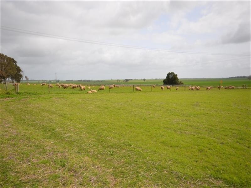 Lot 249 Kapunda to Gawler Road, Freeling SA 5372