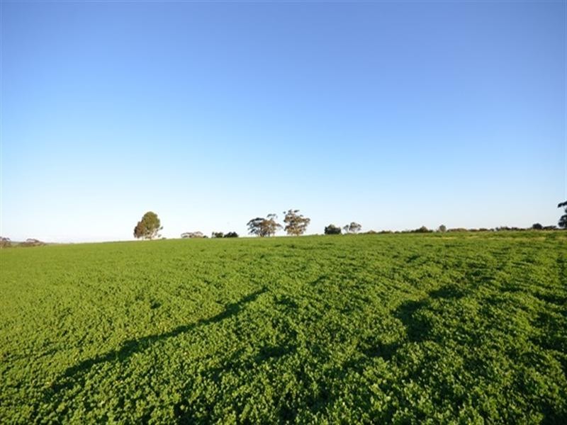 Lot 249 Kapunda to Gawler Road, Freeling SA 5372