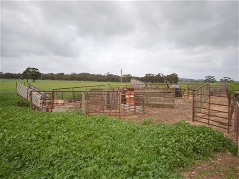 Lot 249 Kapunda to Gawler Road, Freeling SA 5372