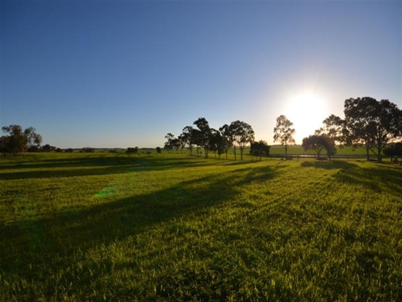 Lot 249 Kapunda to Gawler Road, Freeling SA 5372