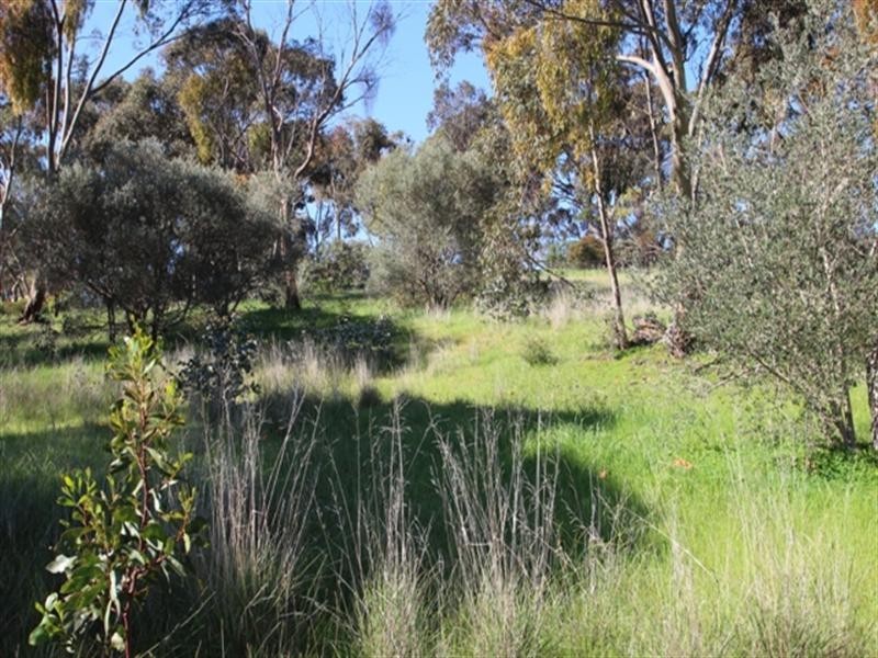Lot 63 March Court, Clare SA 5453
