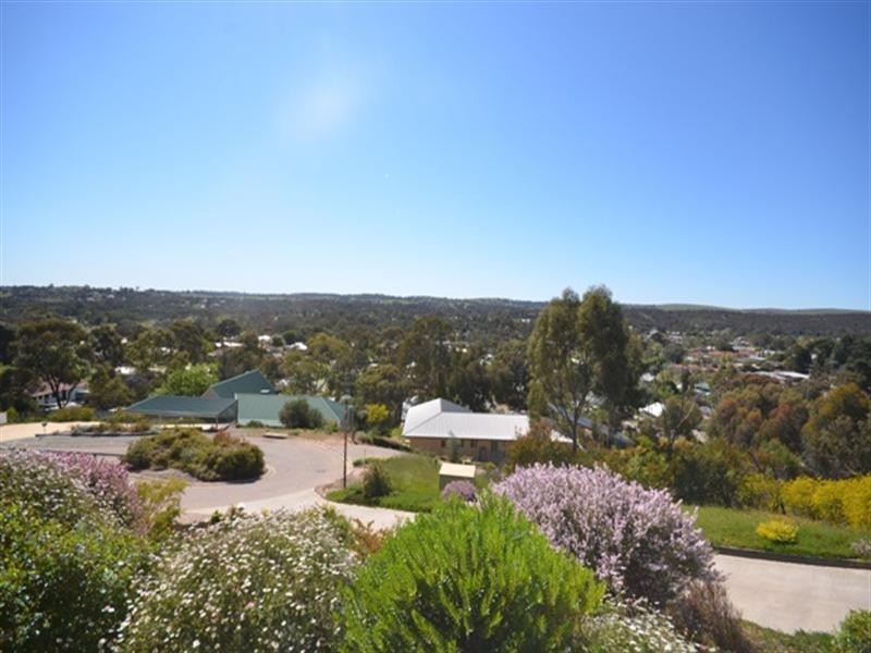 14 Michael Court, Clare SA 5453