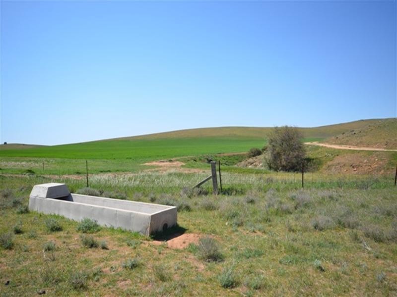 . “Nicholson’s”, Eudunda SA 5374