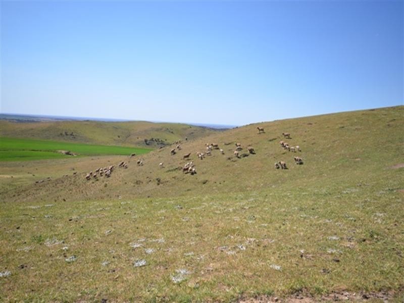 . “Nicholson’s”, Eudunda SA 5374