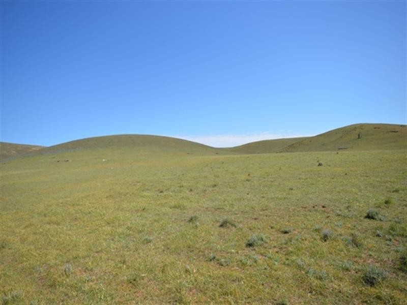 . “Nicholson’s”, Eudunda SA 5374