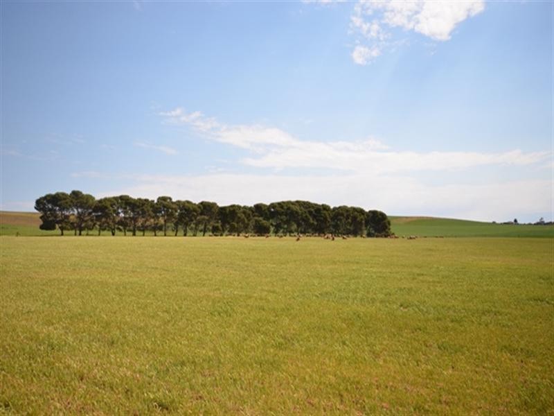 . “Nicholson’s”, Eudunda SA 5374