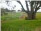 Lot 100 Copper Ore Road, Mintaro SA 5415