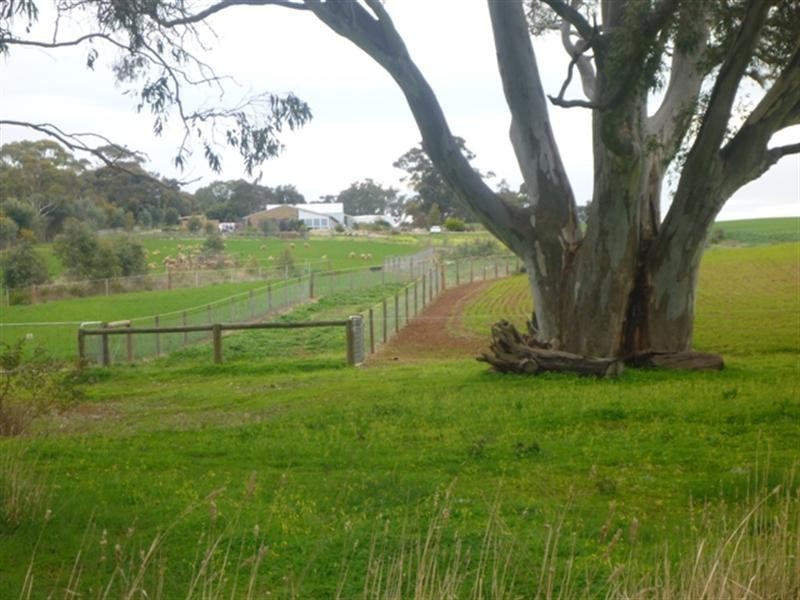 Lot 100 Copper Ore Road, Mintaro SA 5415