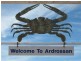 Lot 1 Ardrossan Road, Ardrossan SA 5571