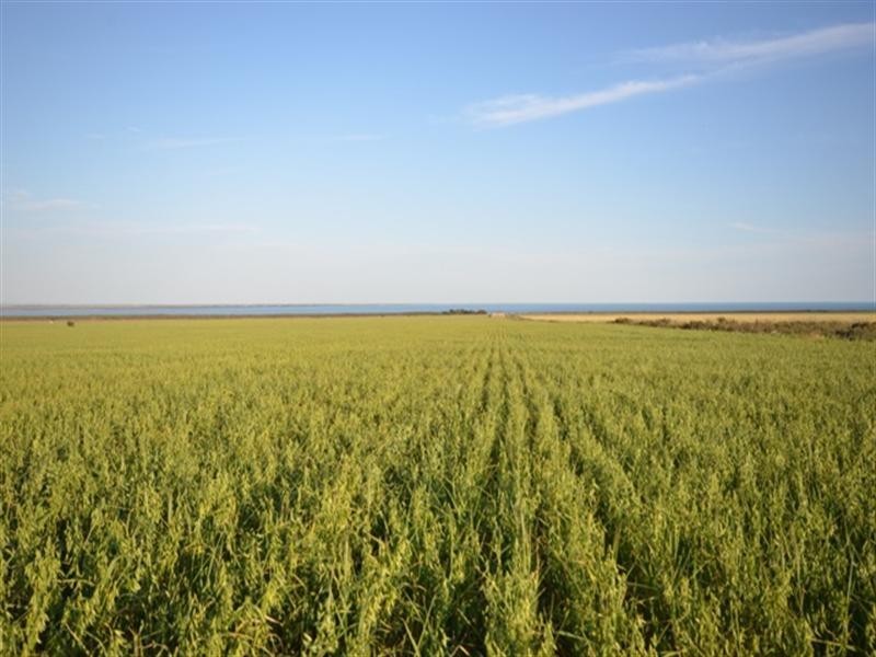 Various Lots, Port Arthur SA 5572