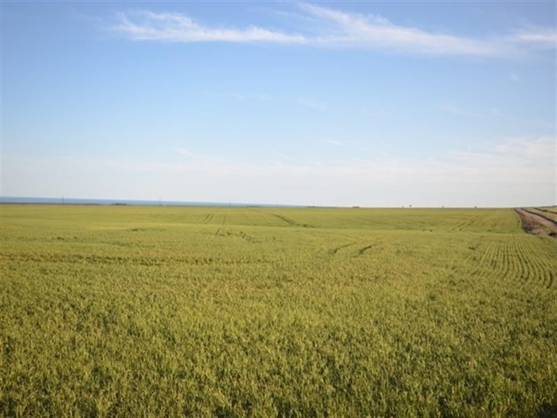 Various Lots, Port Arthur SA 5572