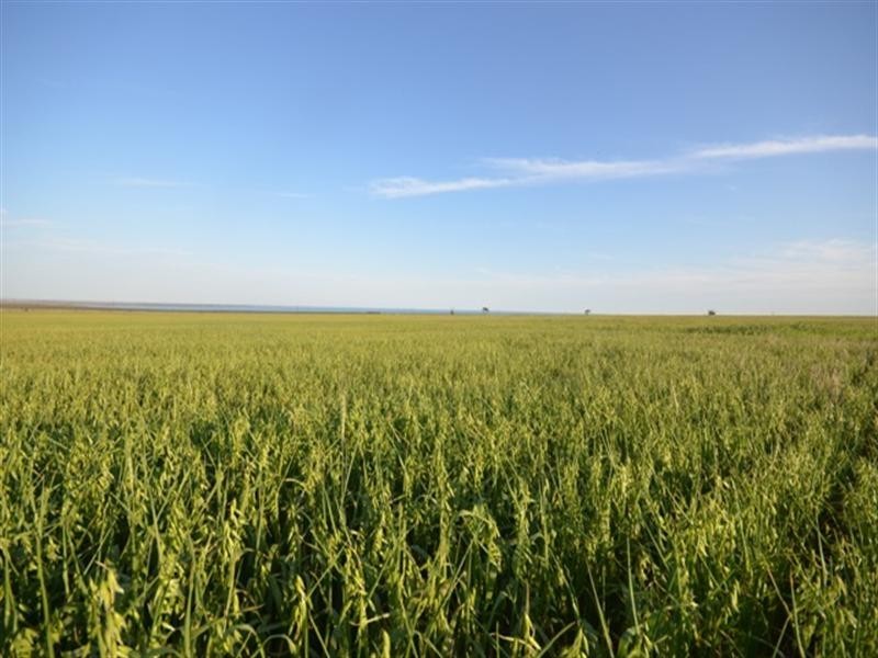 Various Lots, Port Arthur SA 5572