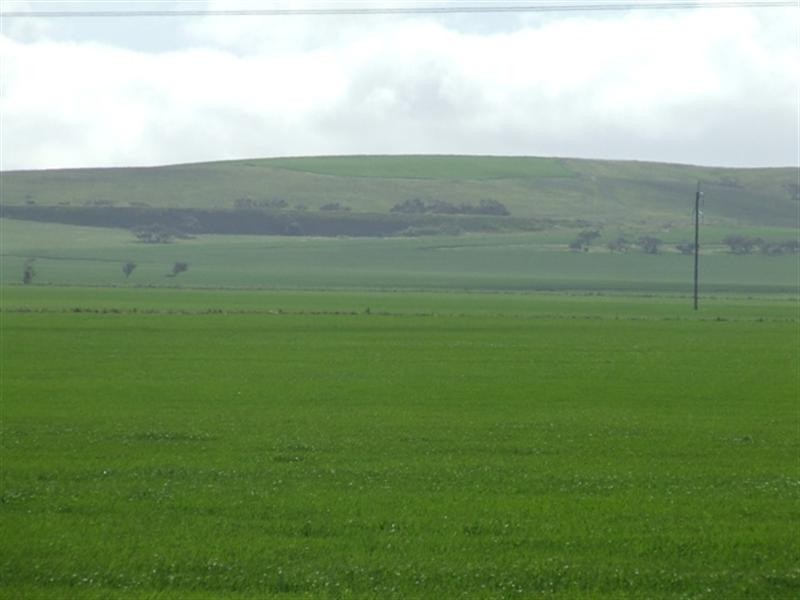 Various Lots, Port Arthur SA 5572