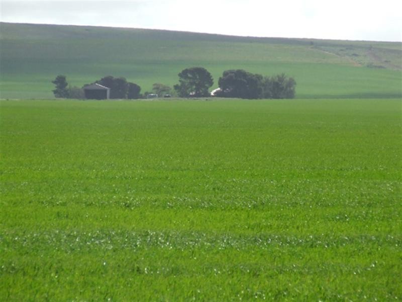 Various Lots, Port Arthur SA 5572