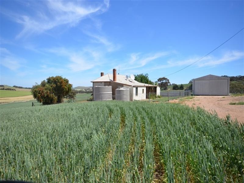 Lot 553 Auburn to Manoora Road, Auburn SA 5451
