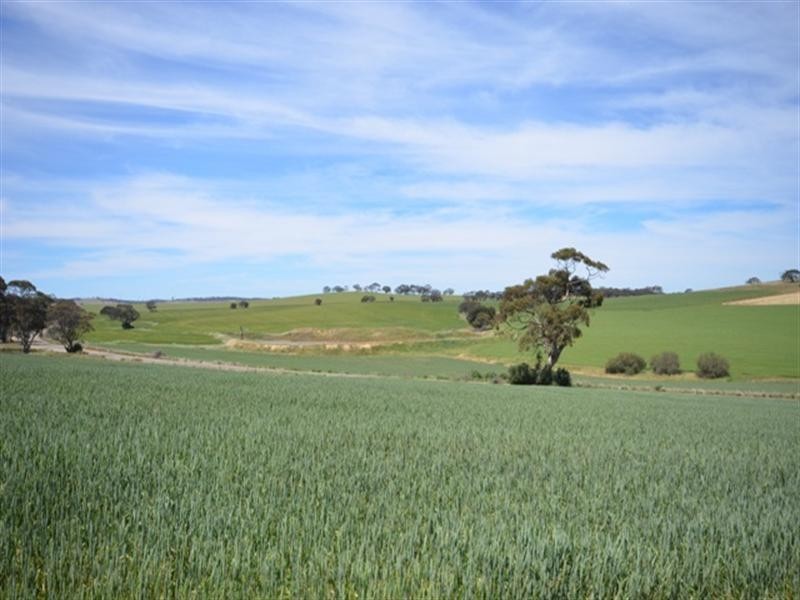 Lot 553 Auburn to Manoora Road, Auburn SA 5451