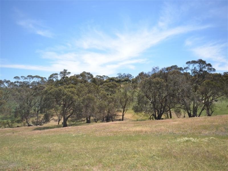 Lot 553 Auburn to Manoora Road, Auburn SA 5451
