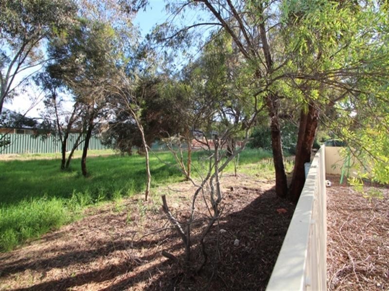 16 Kelly Street, Clare SA 5453