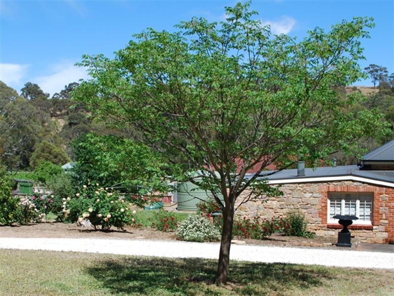 Lot 134 Wendouree Road, Clare SA 5453