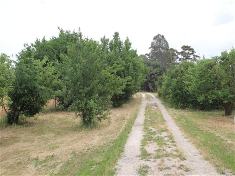 Section 56 Main North Road, Stanley Flat SA 5453