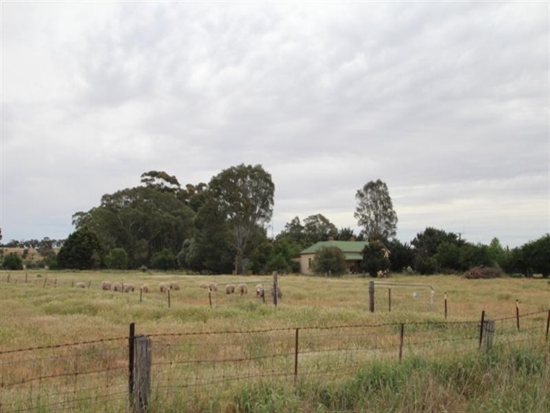 Section 56 Main North Road, Stanley Flat SA 5453