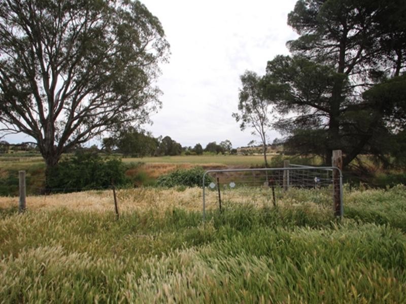 Section 56 Main North Road, Stanley Flat SA 5453