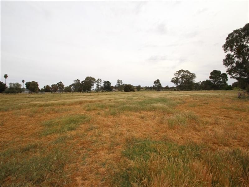 Section 56 Main North Road, Stanley Flat SA 5453